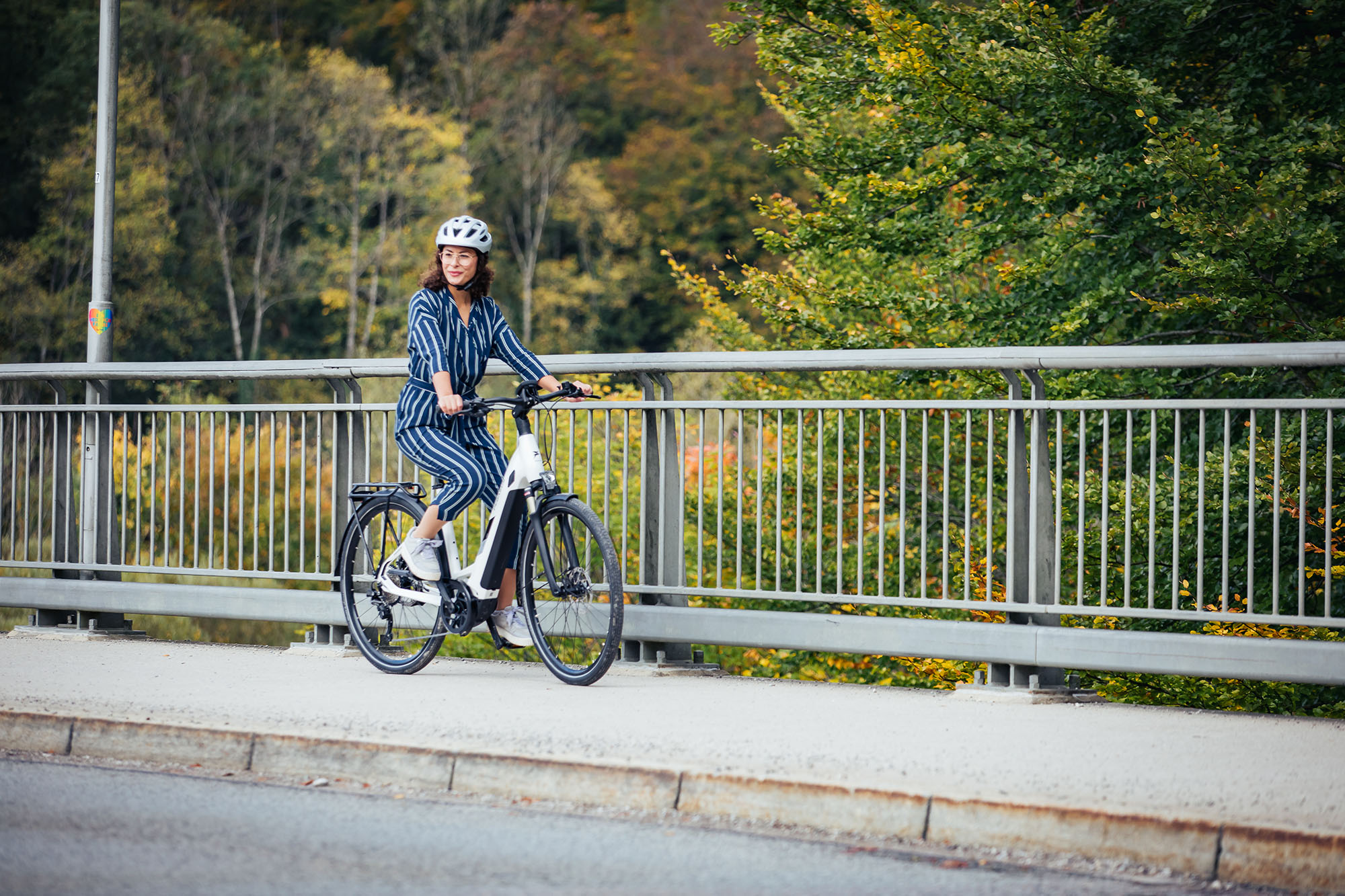 ebike_e-trekking_pegasus_2020.jpg